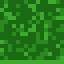 Allium