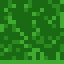 Birch Sapling