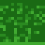 Dark Oak Sapling