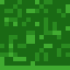 Fern