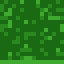 Large Fern
