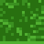 Mangrove Leaves