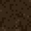 Muddy Mangrove Roots