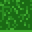 Oak Sapling