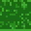 Poplar Sapling