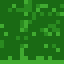 Red Poplar Leaves