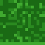 Spruce Sapling