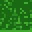 Yellow Poplar Leaves